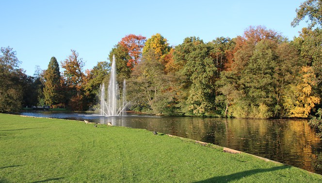 Ontdek de groene omgeving van Hotel Arnhem